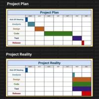 project plan and project reality